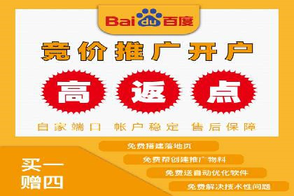 行业领先企业的百度竞价代运营经验分享